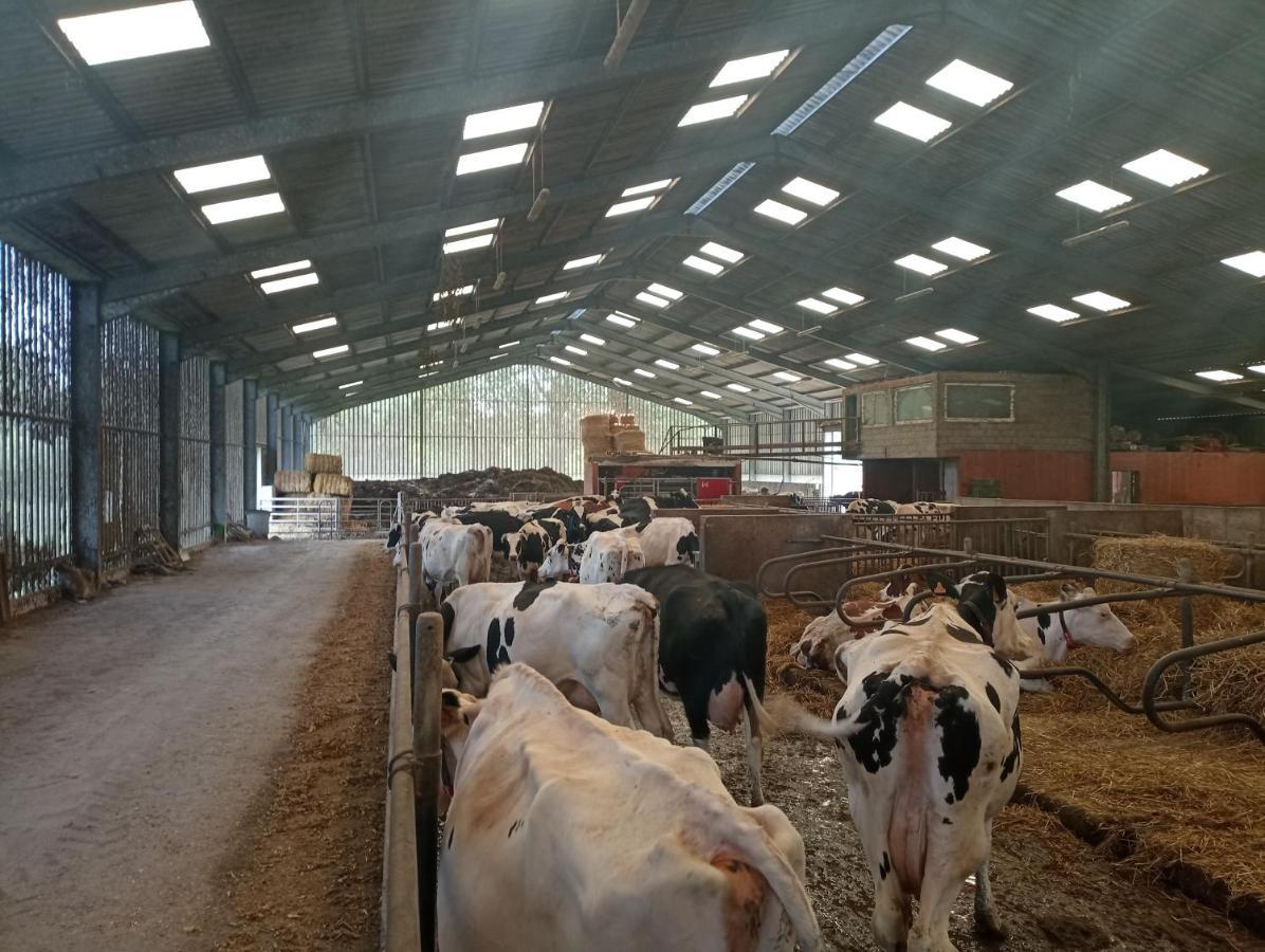Gite A La Ferme Chez Magali Escaudoeuvres Exterior foto